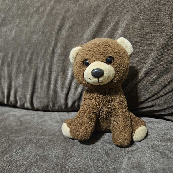 Small brown teddy bear